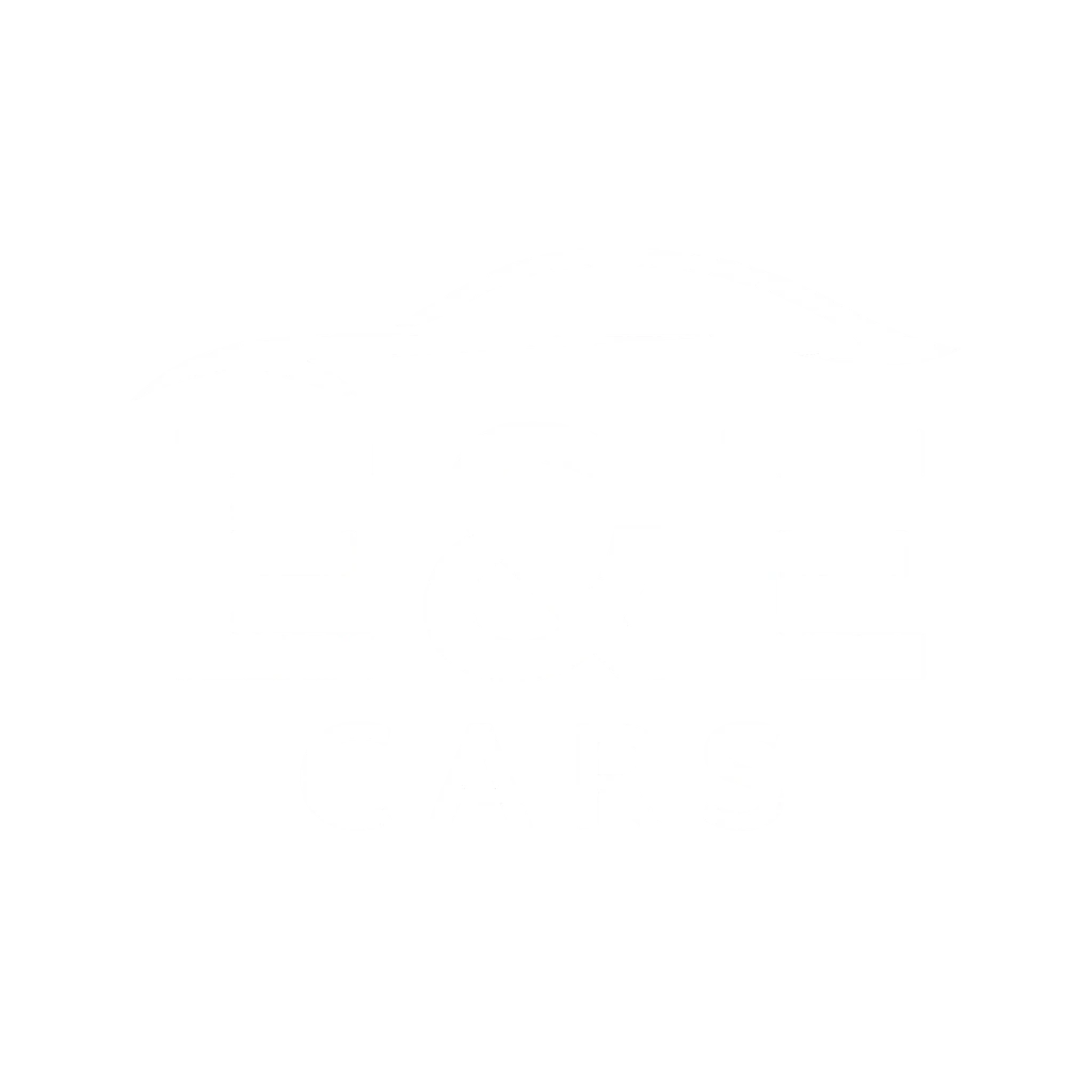 E&E Cars